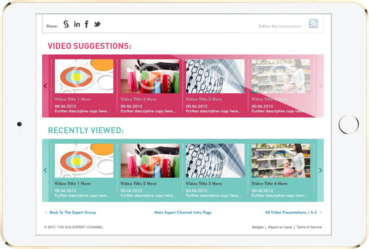 SAS Expert Channel interface